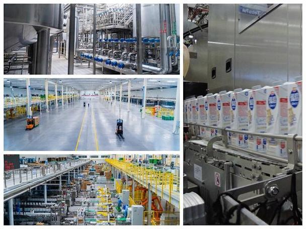 华中最大低温乳制品工厂升级,光明乳业数字化赋能全国化战略落地|光明